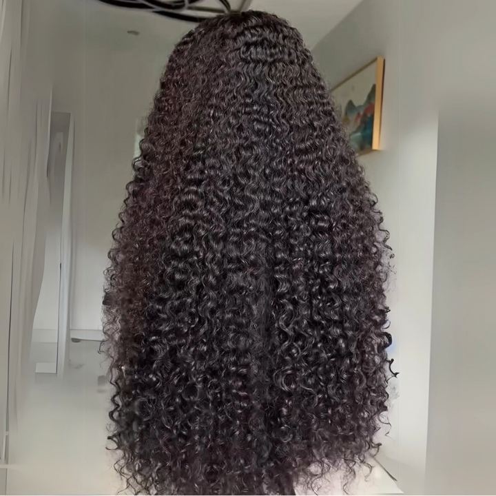 Glueless Loose Wave Wigs Virgin Human Hair 4 * 4/13 * 4 Transparent HD Lace Front Wig Pré-plumé Hairline - Amanda Hair