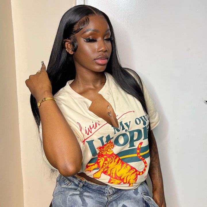 Tiktok King__karine Same Wig Long Straight Hair 13*4/4*4/T Part Lace Front Wigs Preplucked Frontal Human Hair Wig - Amanda Hair