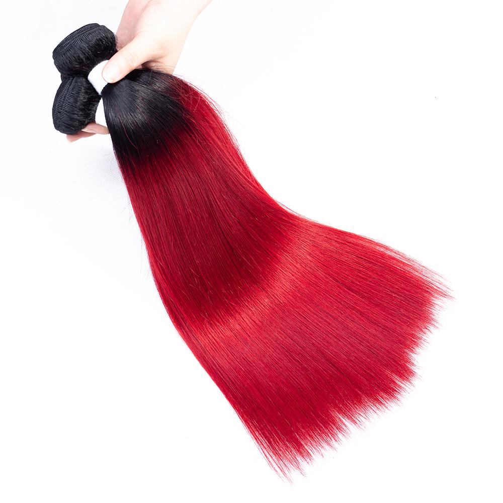 Amanda Ombre Colored Bundles With Closure T1B/Red Silk Straight 100% Human Hair