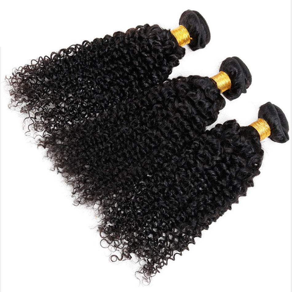 Curly 3 Bundles With 4*4 Lace Closure 10A Grade 100% Remi Human Hair - Amanda Hair