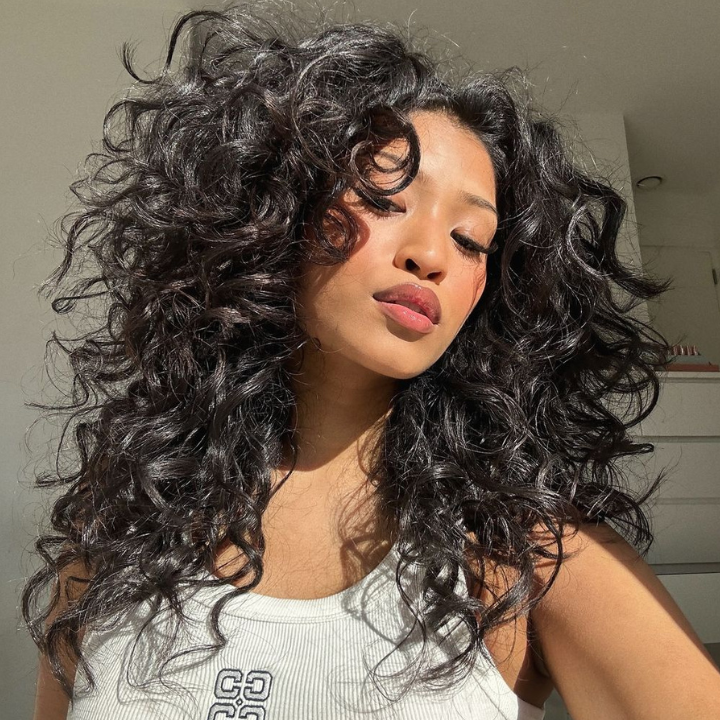 Glueless Frizzy Loose Wave Human Hair Clear Transparent Lace Front Bouncy Curly Wigs Flash Sale