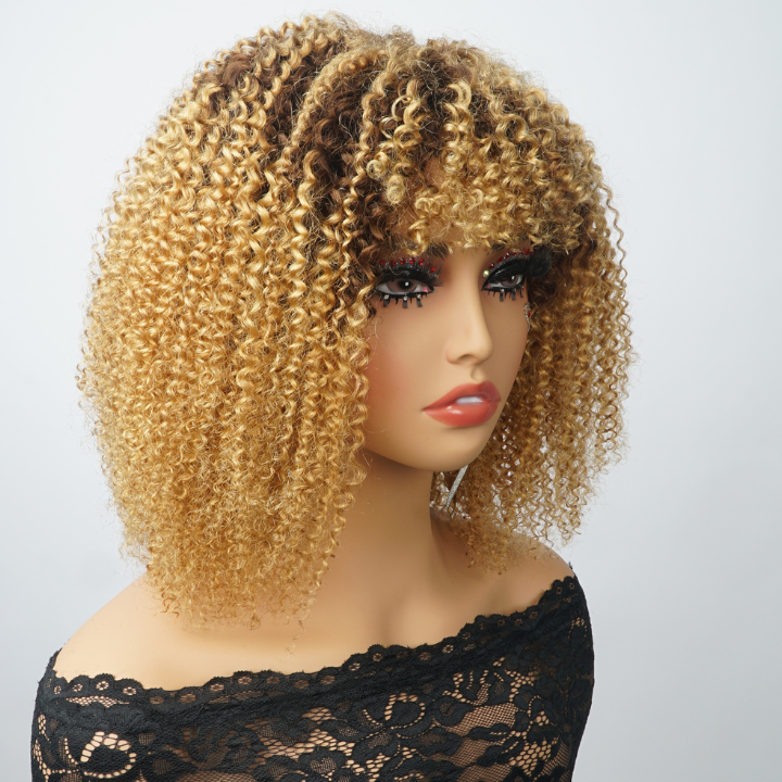 Glueless Brown Ombre Golden  6x4/13x4 Lace Front Curly  Wigs  Human Hair Undetectable Clear Transparent