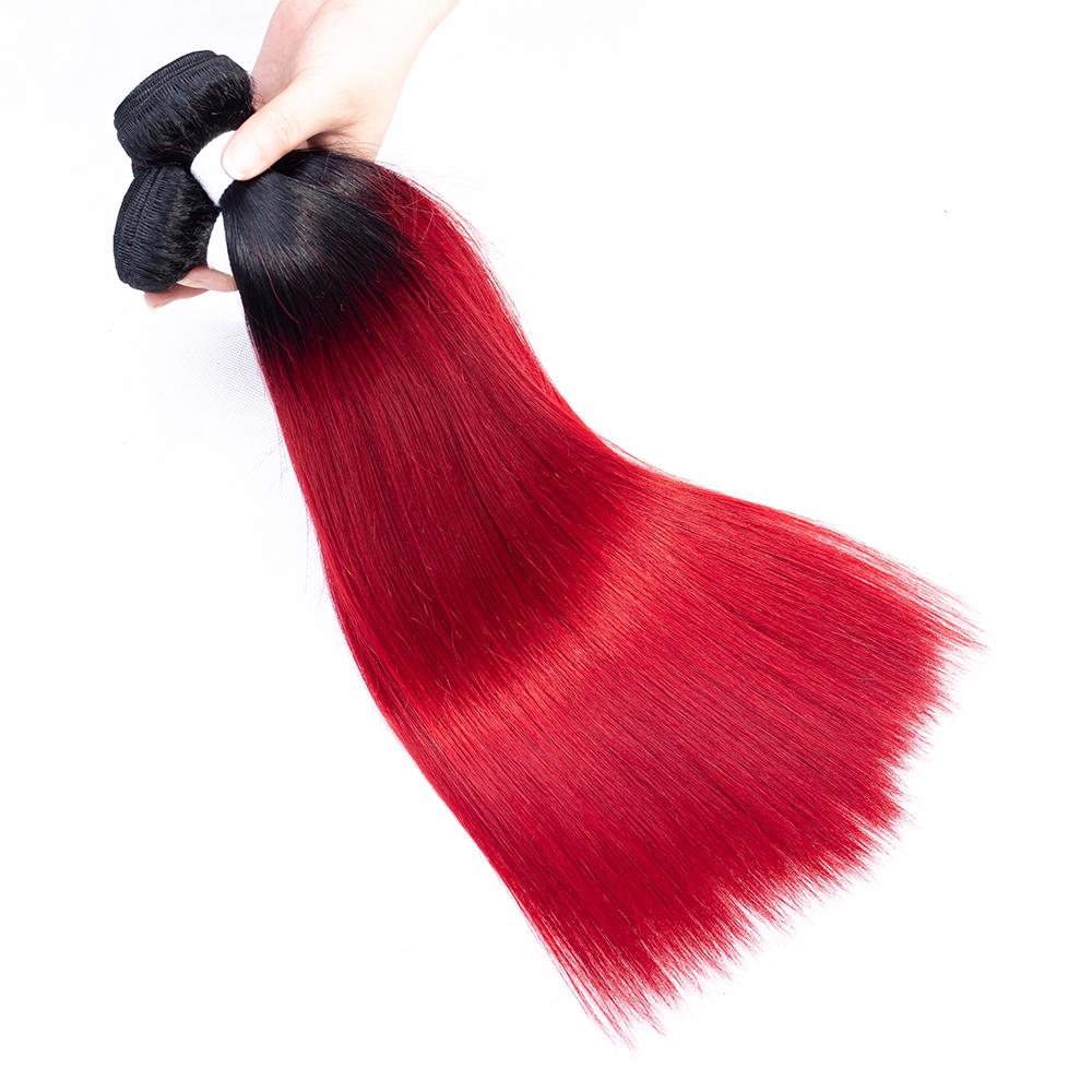 Amanda Ombre Colored Bundles With Closure T1B / Red Silk Straight 100% Human Hair