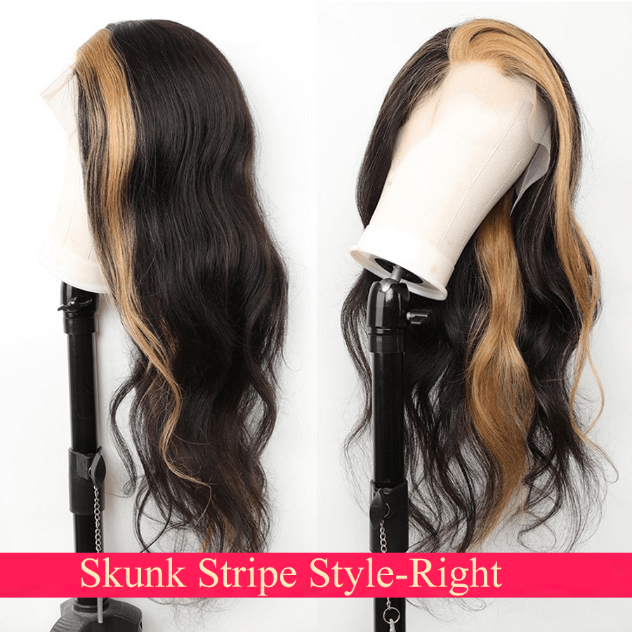 Skunk Stripe Transparent Lace Front Wig